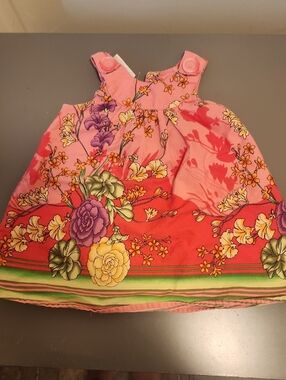 Blueberi Boulevard Pink and Red Floral Girls Dress